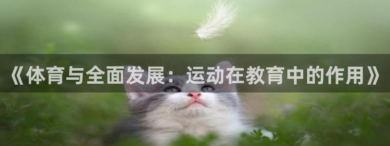 xc体育app官方网站：《体育与全面发展：运动在教育中的作用》