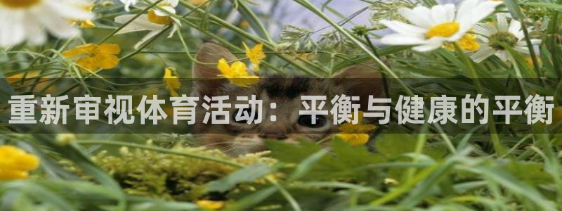 xc体育：重新审视体育活动：平衡与健康的平衡