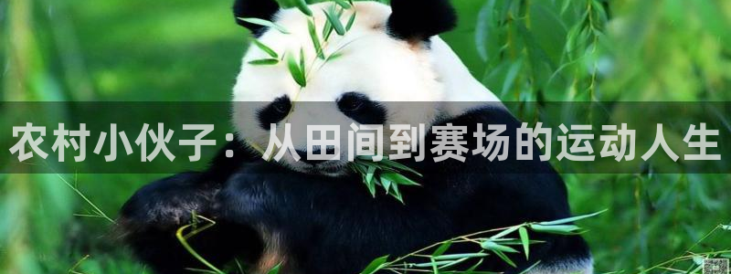 xc体育：农村小伙子：从田间到赛场的运动人生