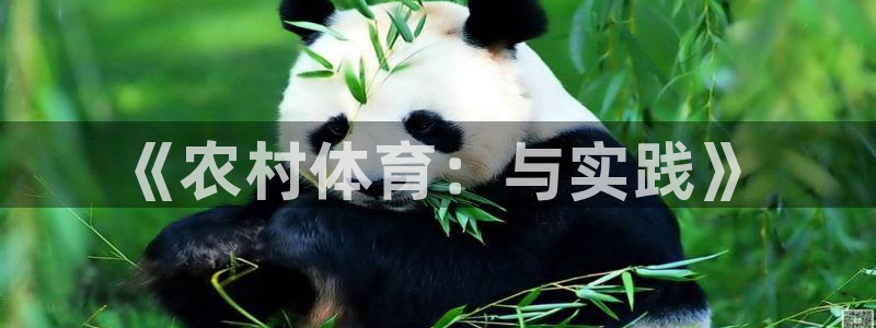 xc体育app官方网站：《农村体育：与实践》